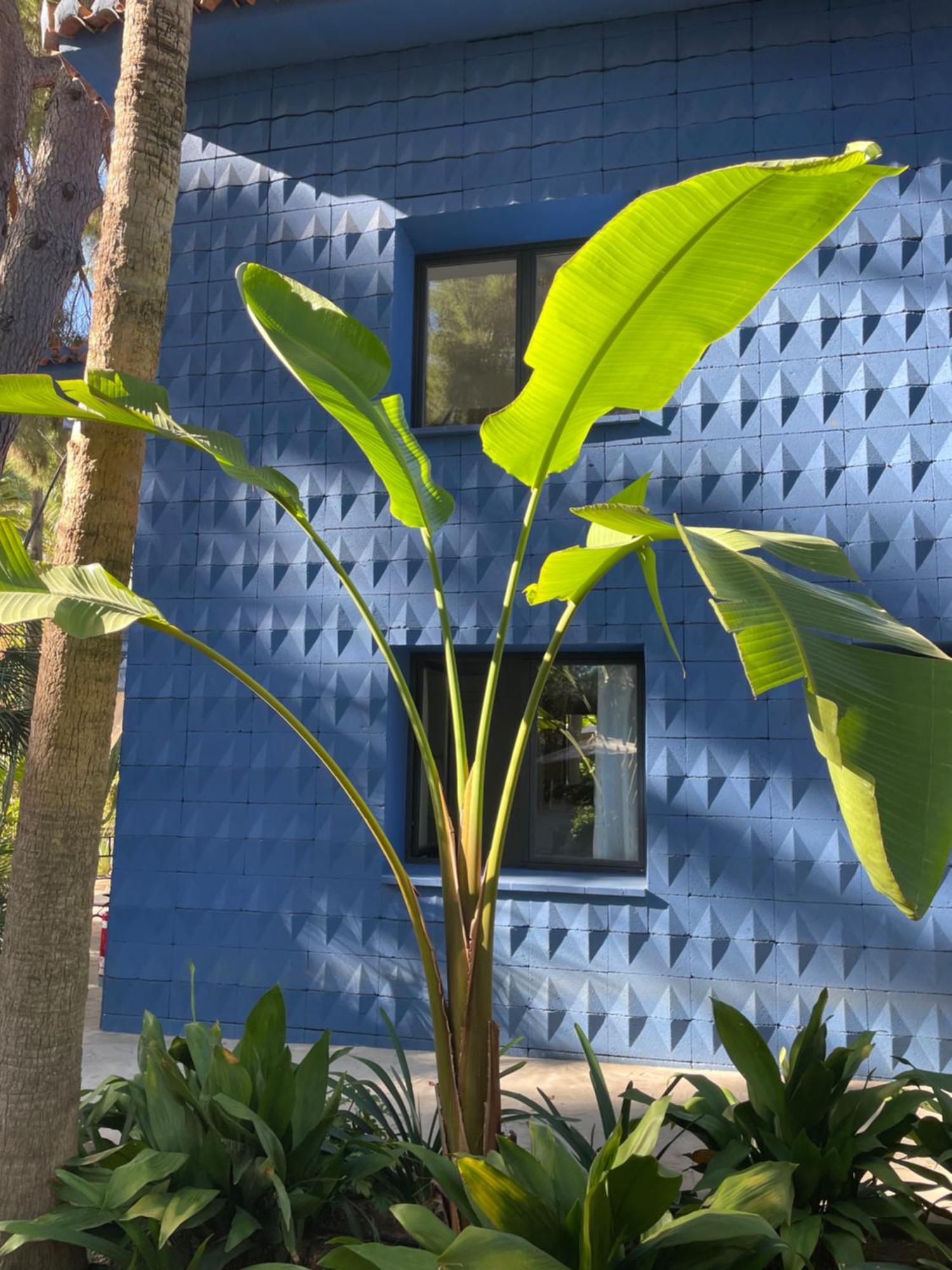 El Botanico De Sagra Hotel Exterior photo